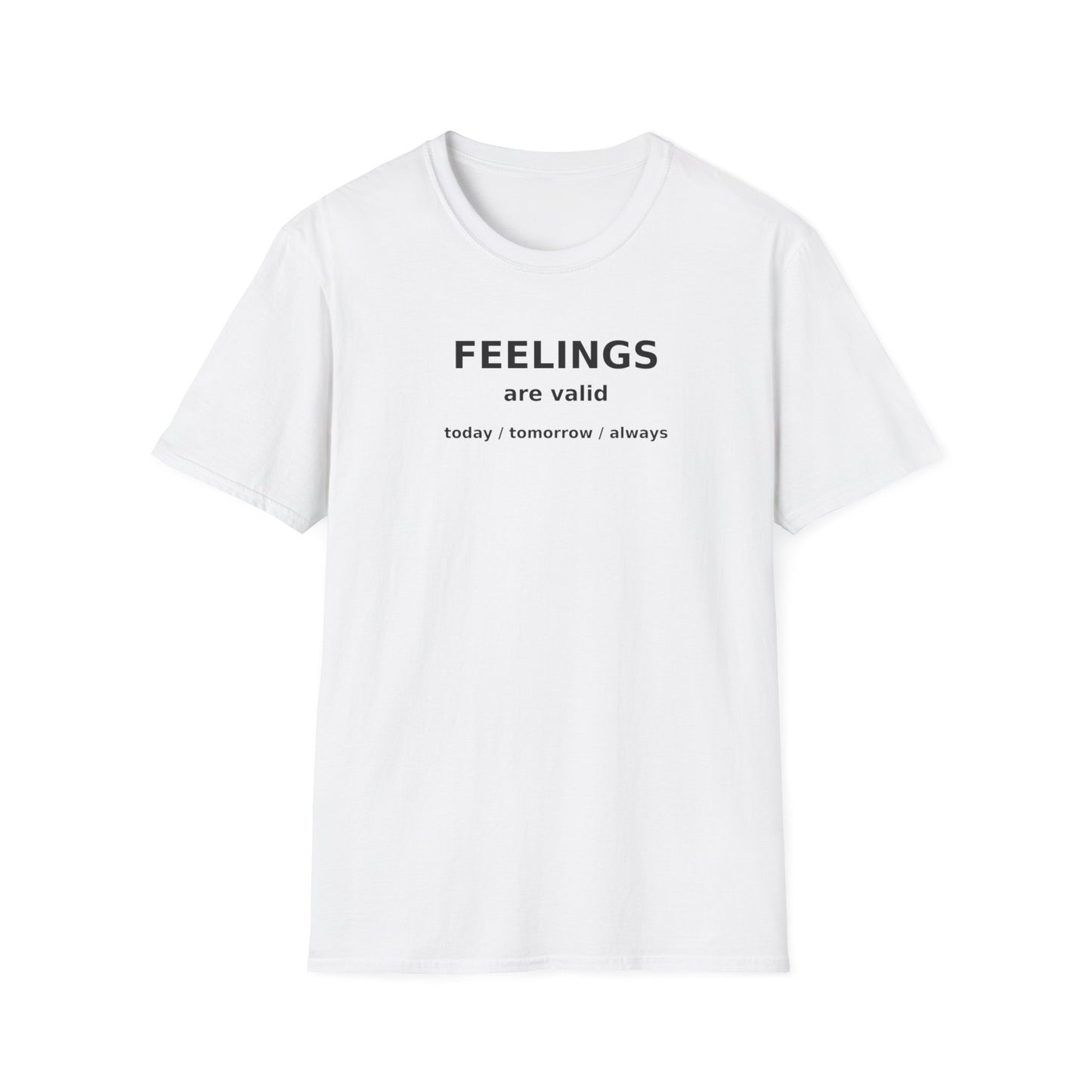 Feelings are Valid T-Shirt