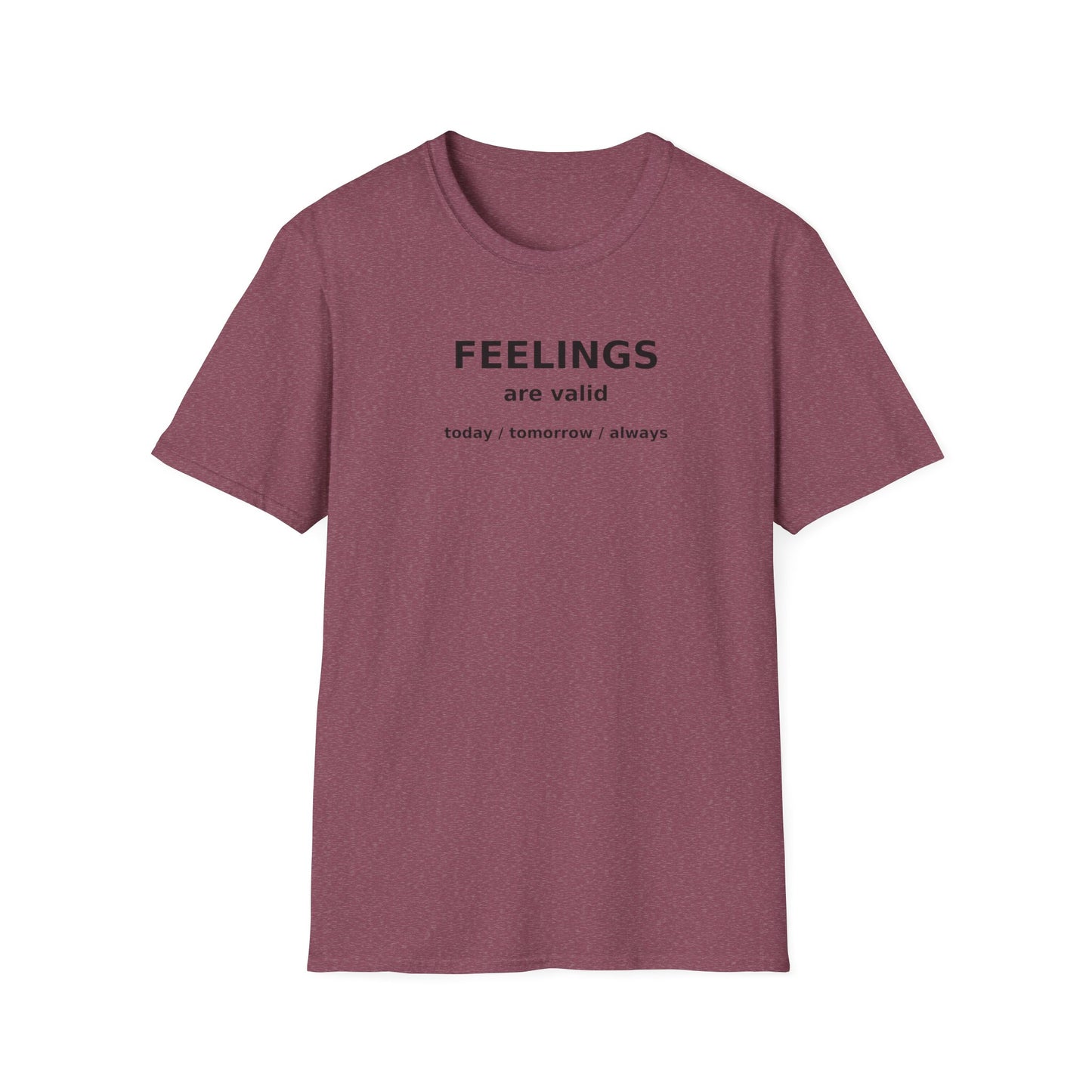 Feelings are Valid T-Shirt