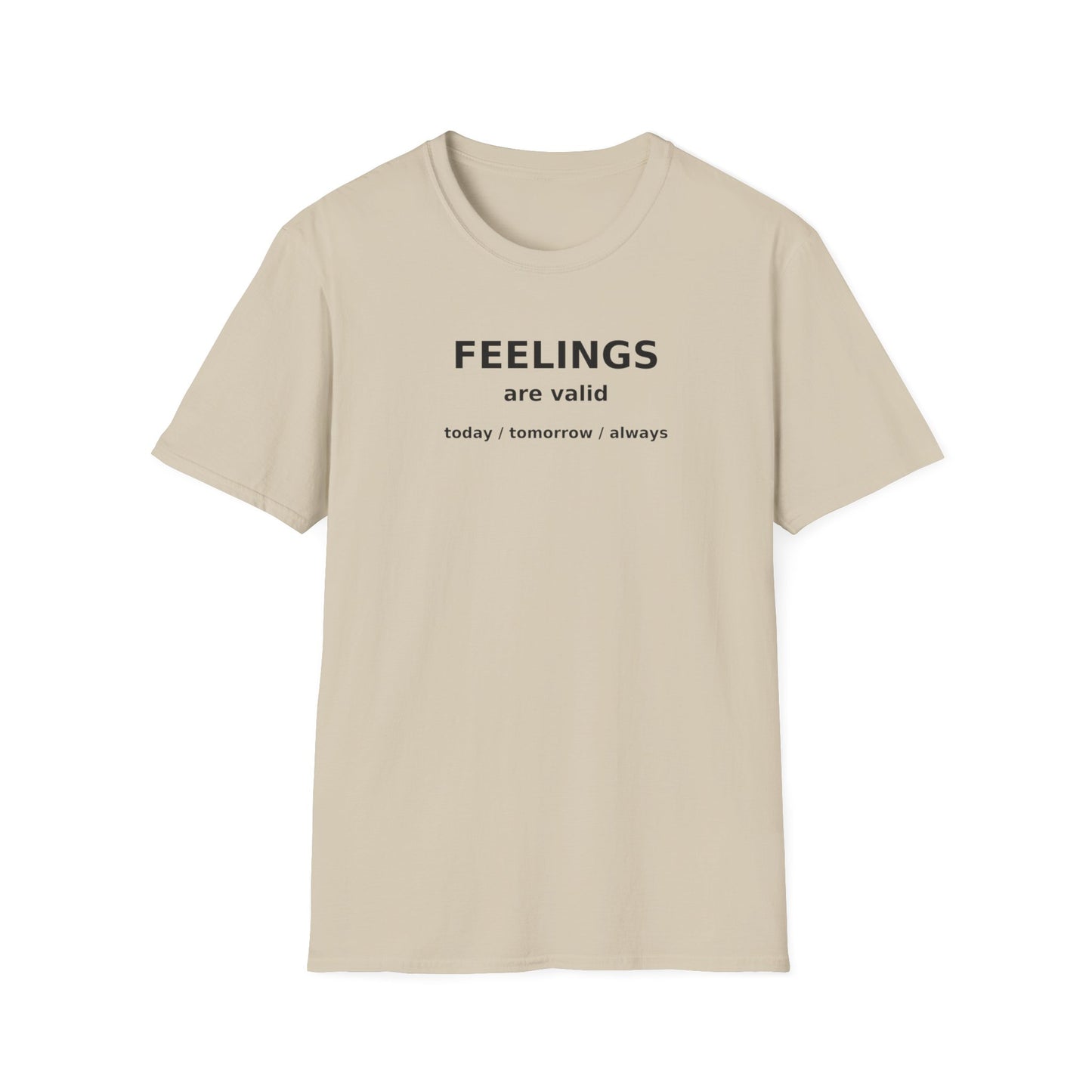 Feelings are Valid T-Shirt