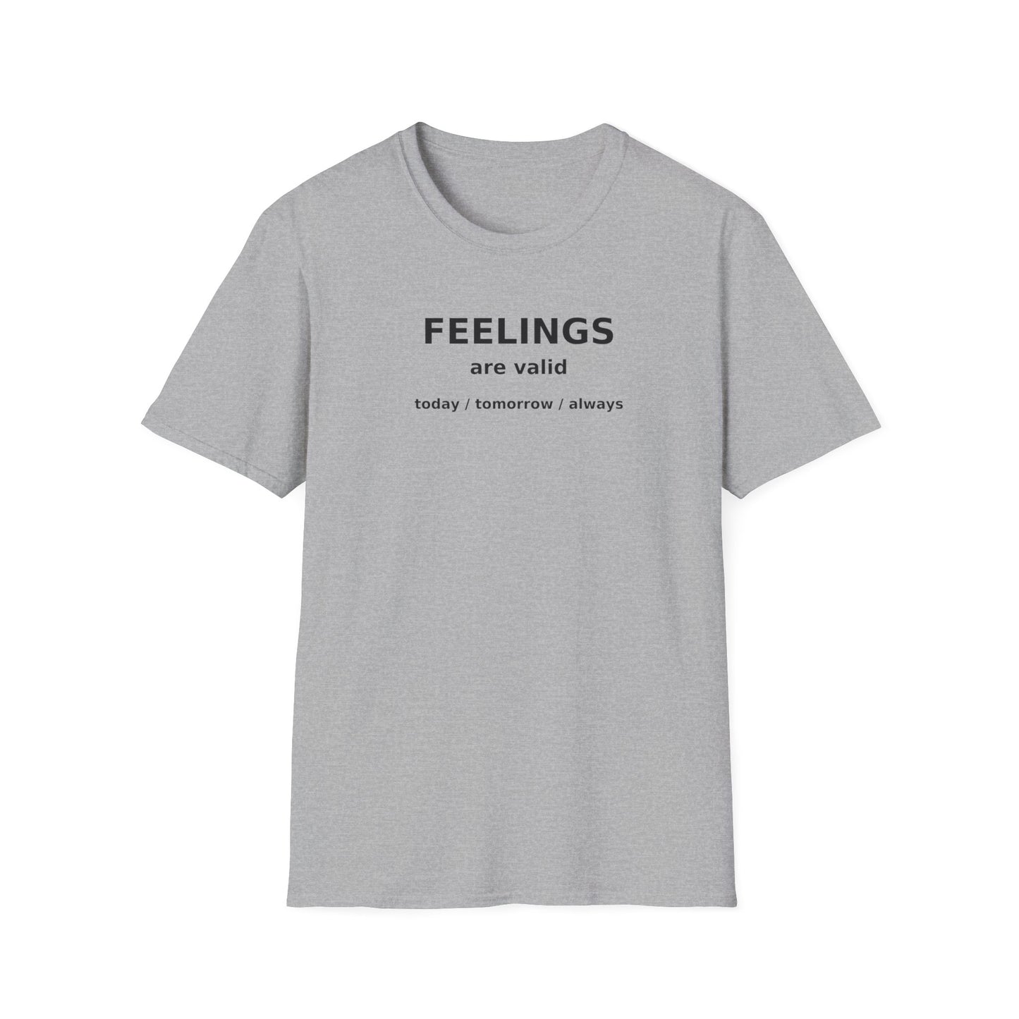Feelings are Valid T-Shirt